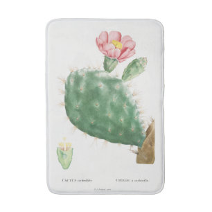 Cactus Cochenillifer, Antique Illustration, 1799 Bath Mat