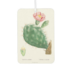Cactus Cochenillifer, Antique Illustration, 1799 Car Air Freshener