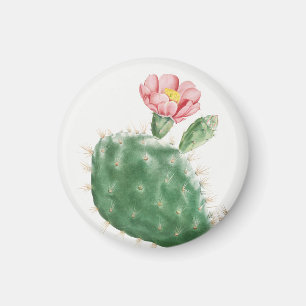 Cactus Cochenillifer, Antique Illustration, 1799 Magnet