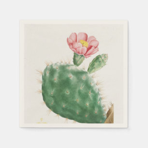 Cactus Cochenillifer, Antique Illustration, 1799  Napkin