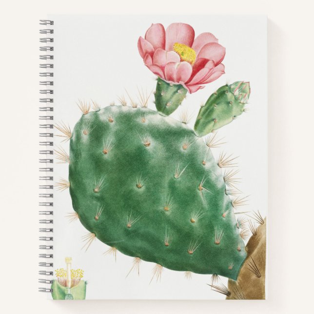Cactus Cochenillifer, Antique Illustration, 1799  Notebook (Front)