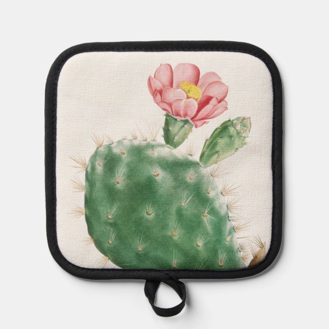 Cactus Cochenillifer, Antique Illustration, 1799  Pot Holder (Front)