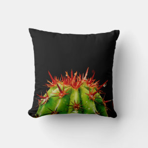 Cactus Cushion