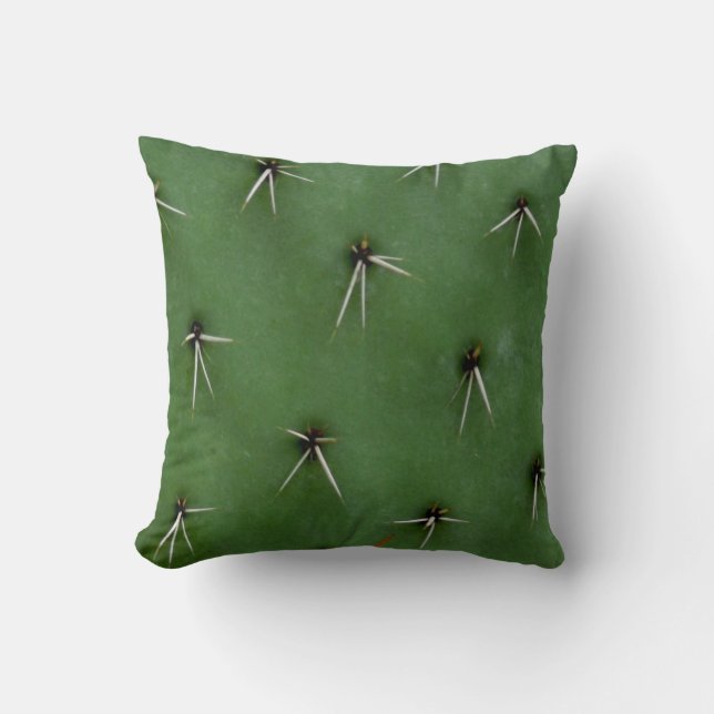 Cactus Cushion (Front)