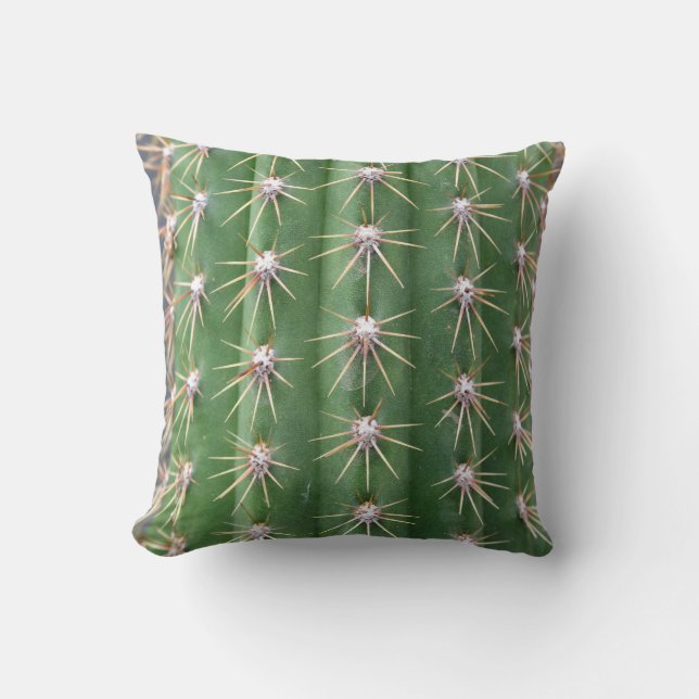 Cactus Cushion (Front)