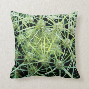 Cactus Cushion