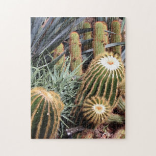 Cactus Desert  Arid Garden Nature Puzzle
