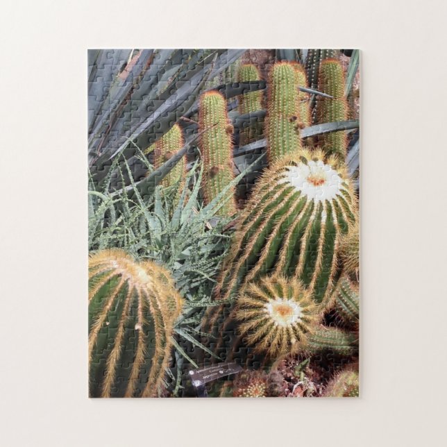 Cactus Desert  Arid Garden Nature Puzzle (Vertical)
