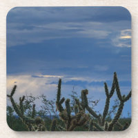 Cactus Desert Monsoon