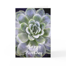 Cactus design - Birthday greetings card