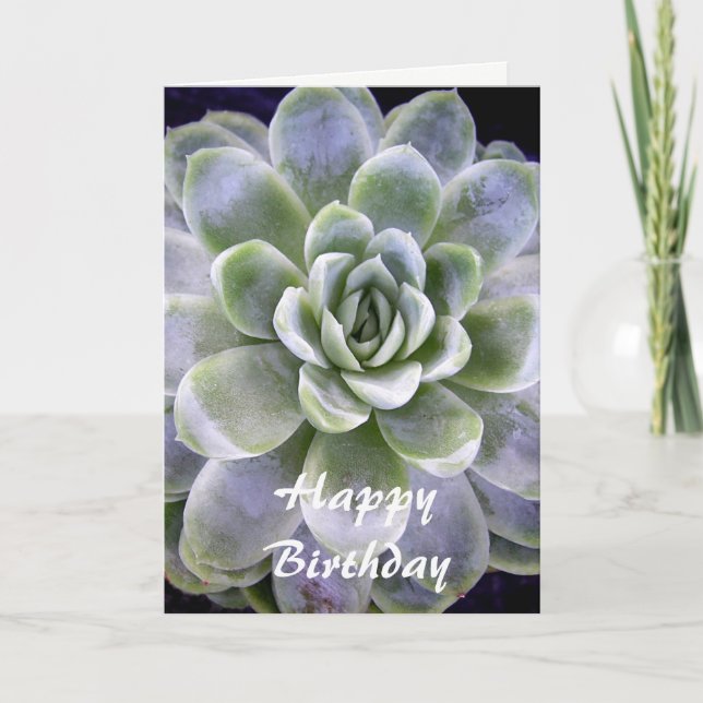 Cactus design - Birthday greetings card (Front)