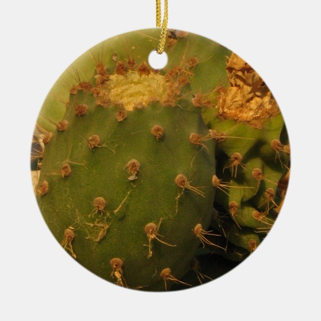 Cactus Detail Photography Circle Ornament (Front)