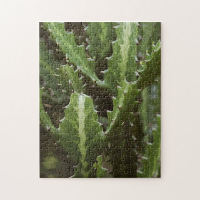 Cactus (difficult) jigsaw puzzle (Vertical)