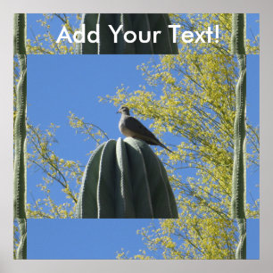 Cactus Dove Poster