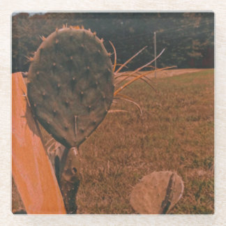 Cactus Field Glass Coaster