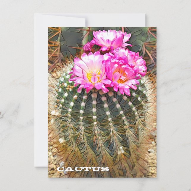 Cactus: Flat Card (Front)