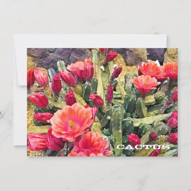 Cactus: Flat Card (Front)