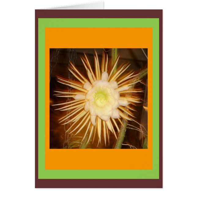 Cactus Flower (Front)