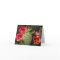 Cactus Flower Custom Greeting and Notes Cards