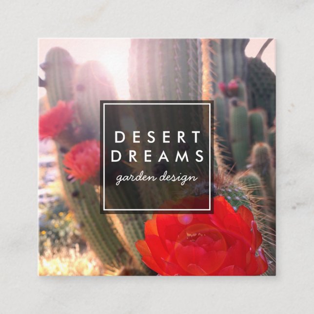 Cactus Flower Desert Garden Photo Travel Tourism Square Business Card (Front)