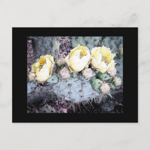Cactus Flower Digital Ink Postcard