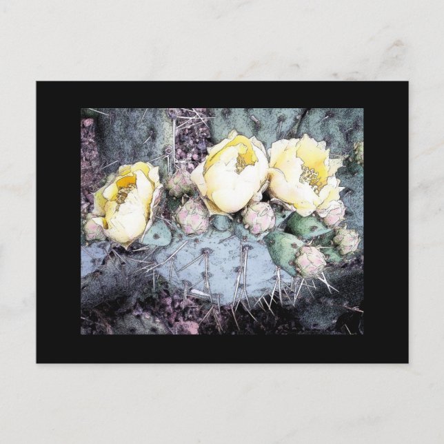 Cactus Flower Digital Ink Postcard (Front)