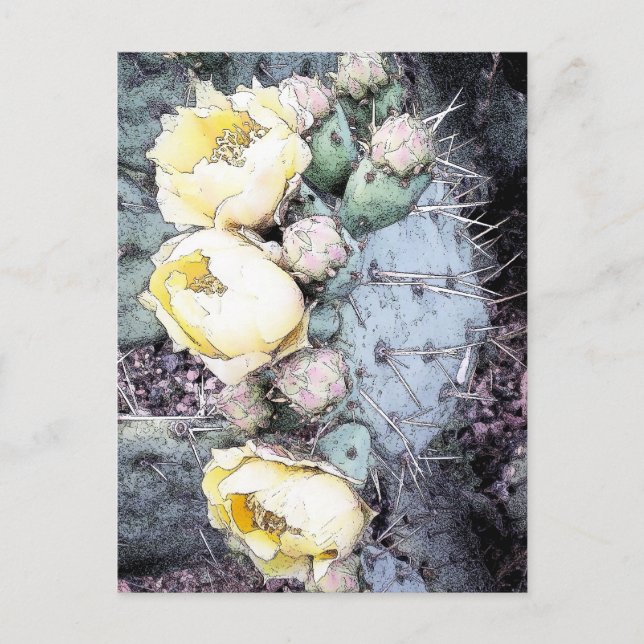 Cactus Flower Digital Ink Postcard (Front)