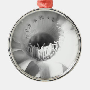 Cactus Flower in Black and White #succulent Metal Ornament