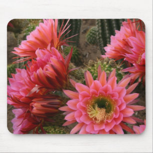 Cactus flower mousepad