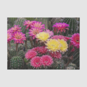 Cactus Flower Paint Tissue Paper