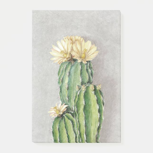 Cactus Flower Painting Post-it Notes (Front)
