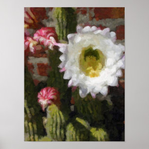 Cactus Flower Poster