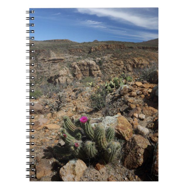 Cactus Flowering Notebook (Front)
