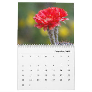 Cactus flowers calendar