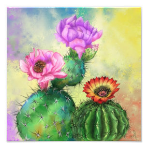 Cactus Flowers Poster