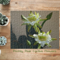 Cactus Flowers Prickly Pear Blossoms Photographic