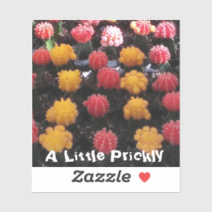 Cactus Fruit