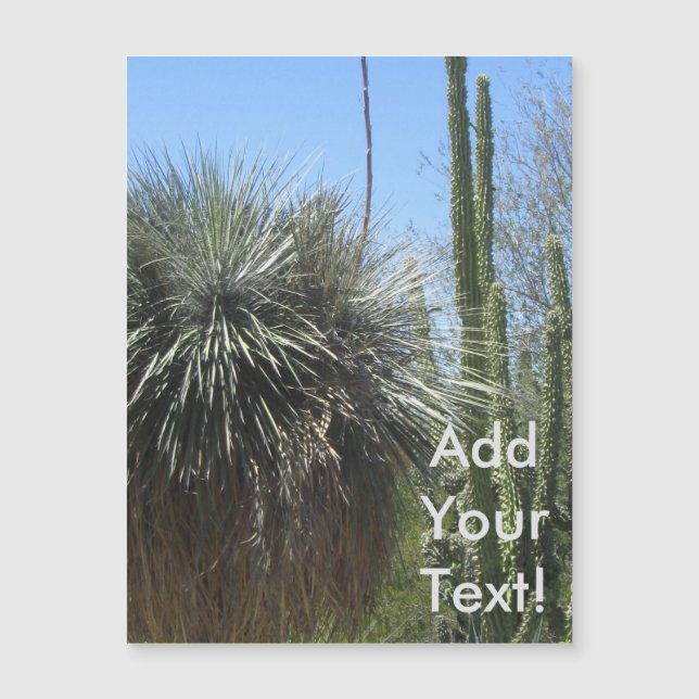 Cactus Garden (Front)