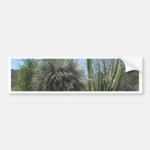 Cactus Garden Bumper Sticker