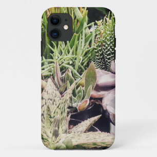 Cactus Garden iPhone 11 Case