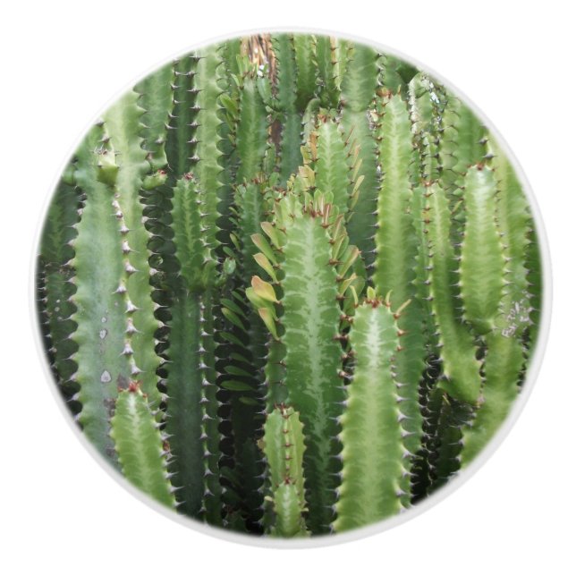 Cactus Garden Ceramic Knob (Front)