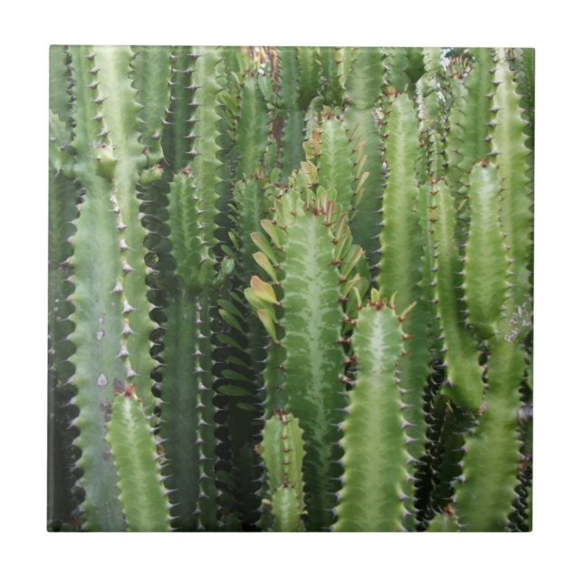 Cactus Garden Ceramic Tile (Front)