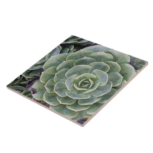 Cactus Garden Ceramic Tile (Side)