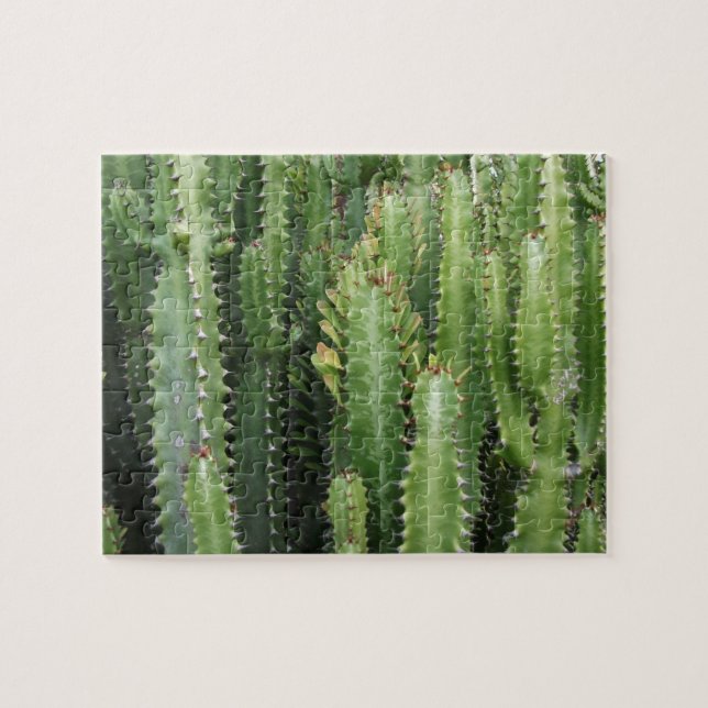 Cactus Garden Jigsaw Puzzle (Horizontal)