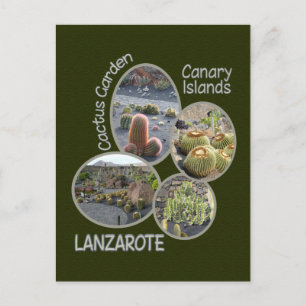 Cactus Garden postcard