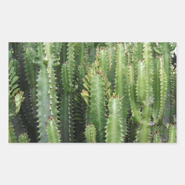 Cactus Garden Rectangular Sticker (Front)