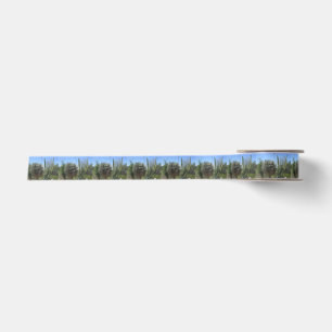 Cactus Garden Satin Ribbon
