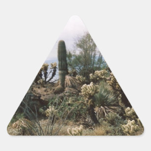 Cactus Garden Triangle Sticker