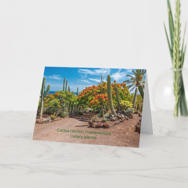 Cactus Garen, Fuerteventura, Canary Islands, Card (Front)