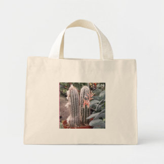 Cactus Gift Bag